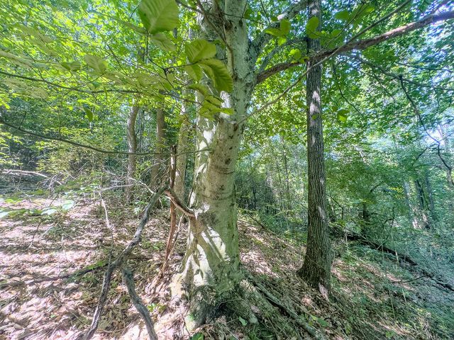 12141 Burton Hill Road, Glouster, OH 45732