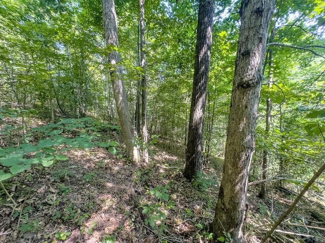 12141 Burton Hill Road, Glouster, OH 45732