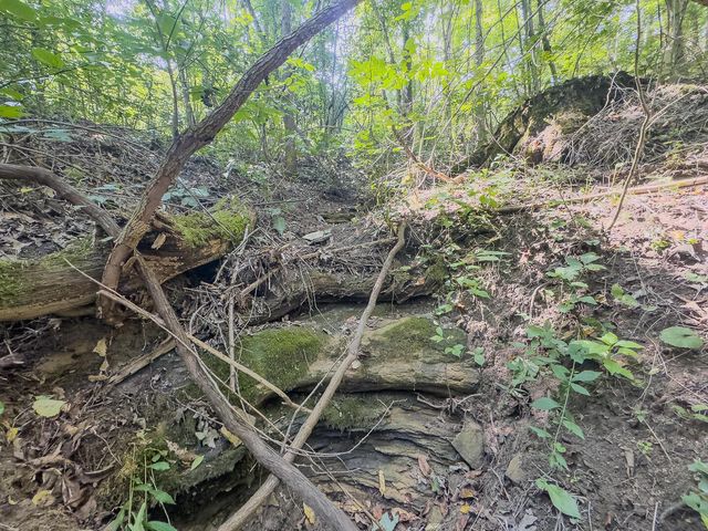 12141 Burton Hill Road, Glouster, OH 45732