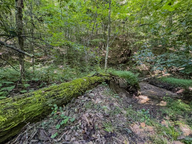 12141 Burton Hill Road, Glouster, OH 45732