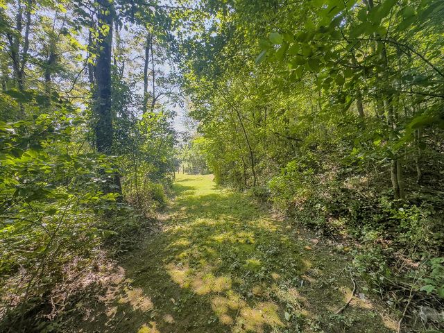 12141 Burton Hill Road, Glouster, OH 45732