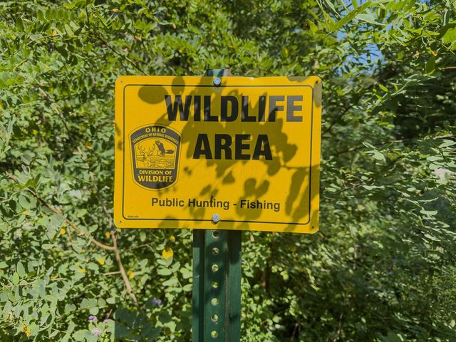 12141 Burton Hill Road, Glouster, OH 45732