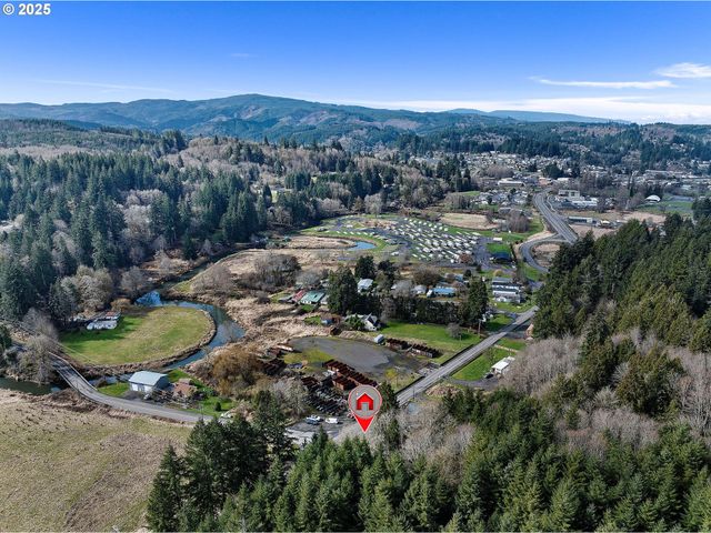 1390 SWEDETOWN Rd, Clatskanie, OR 97016