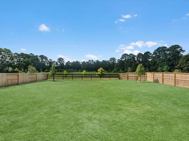 14327 Moonlit Creek Court, Montgomery, TX 77316