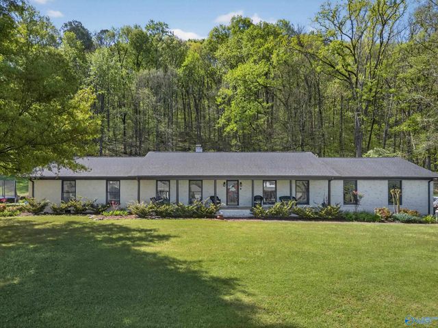 6496 Spring Creek Drive, Guntersville, AL 35976