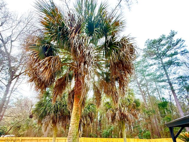 352 Saint Julian Place, North Augusta, SC 29860