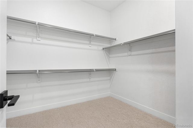 11462 Autumn Moon Street, Littleton, CO 80125