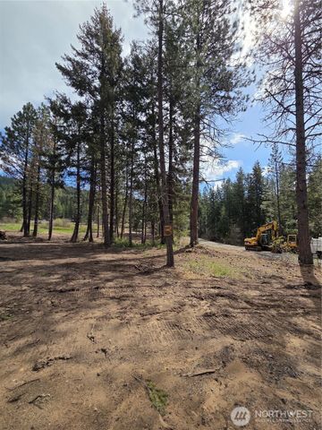 3 Double O Road, Ronald, WA 98940