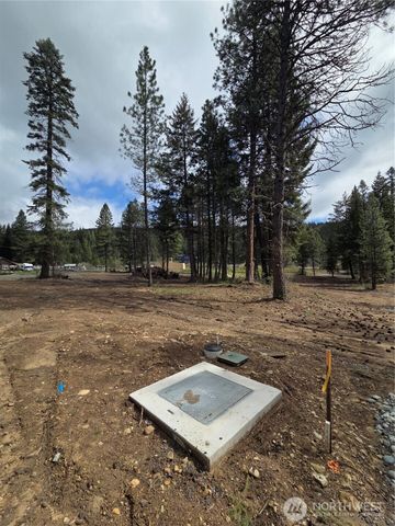 3 Double O Road, Ronald, WA 98940