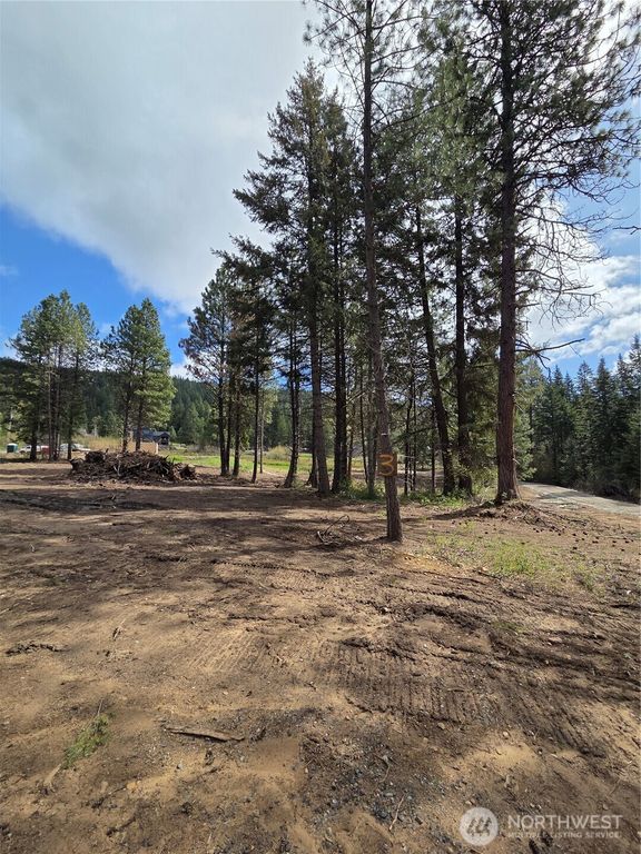 3 Double O Road, Ronald, WA 98940