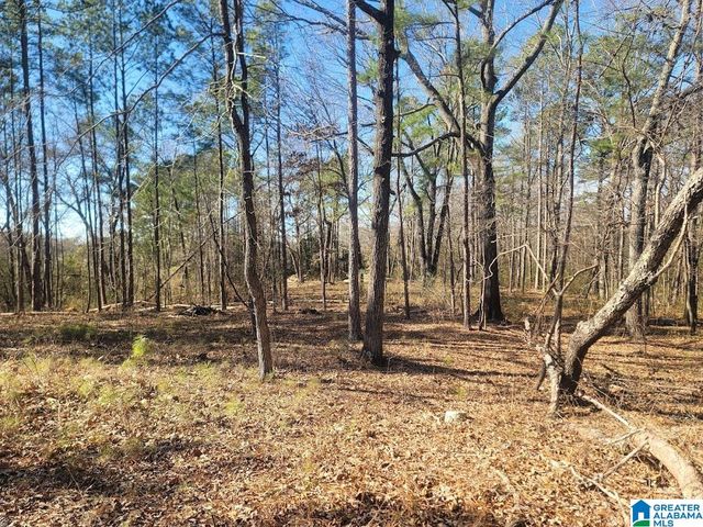 0 W LITTLEBRANDT DRIVE, Anniston, AL 36205