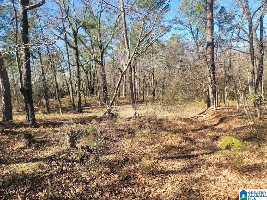 0 W LITTLEBRANDT DRIVE, Anniston, AL 36205