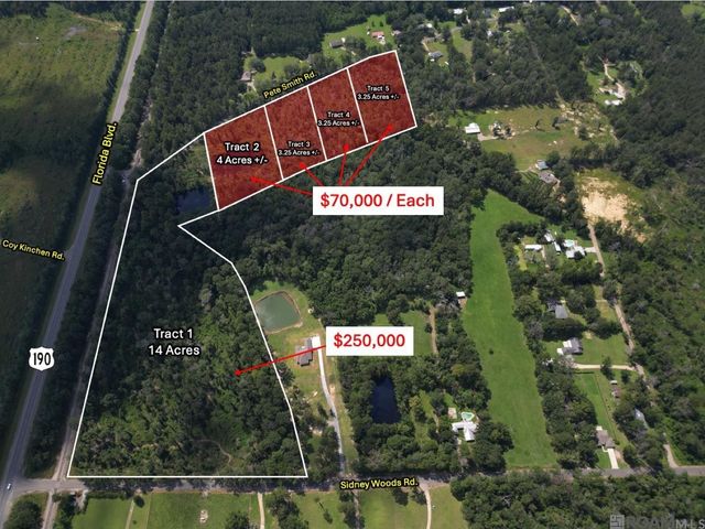 5 Pete Smith Rd, Livingston, LA 70754