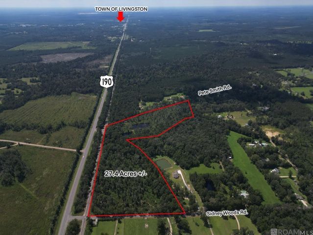 5 Pete Smith Rd, Livingston, LA 70754