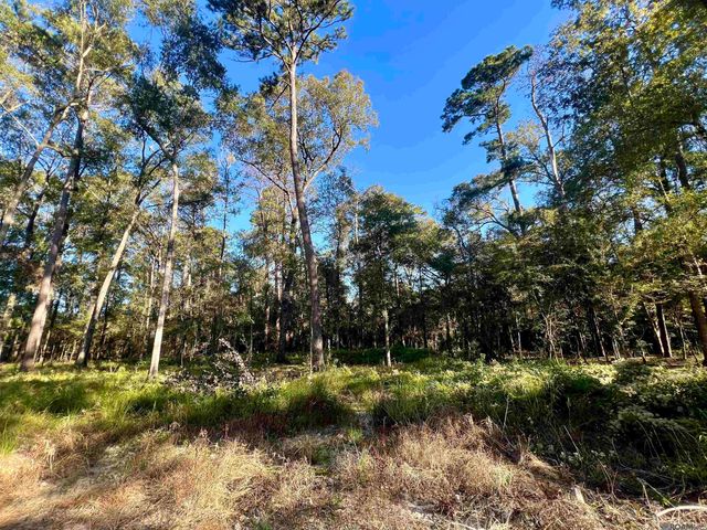 TBD Greenwell Springs Rd, Greenwell Springs, LA 70739