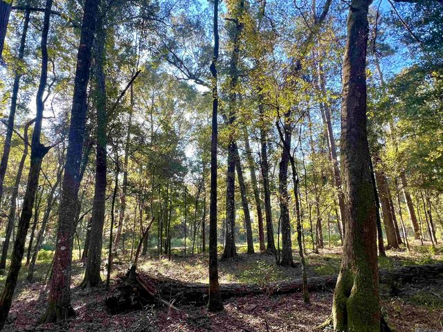 TBD Greenwell Springs Rd, Greenwell Springs, LA 70739