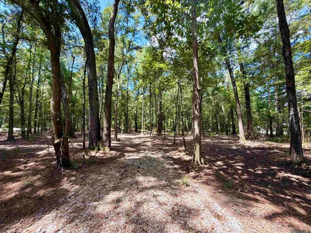 TBD Greenwell Springs Rd, Greenwell Springs, LA 70739