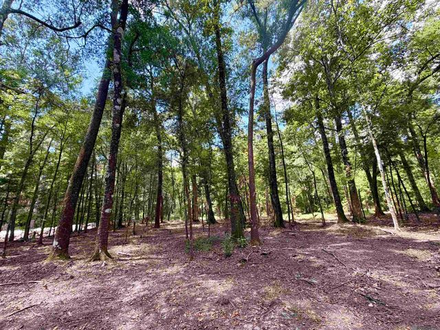 TBD Greenwell Springs Rd, Greenwell Springs, LA 70739