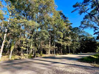 TBD Greenwell Springs Rd, Greenwell Springs, LA 70739