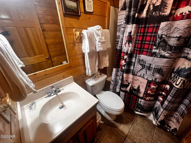 3216 White Falcon Way, Pigeon Forge, TN 37863
