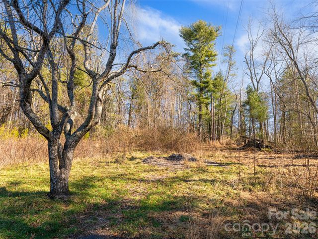 44 Presbyterian Church Road, Mills River, NC 28759