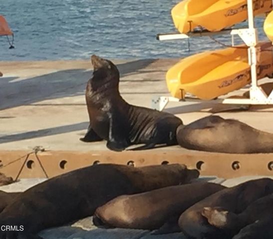 4126 Harbour Island Lane, Oxnard, CA 93035