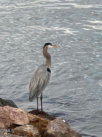 4126 Harbour Island Lane, Oxnard, CA 93035