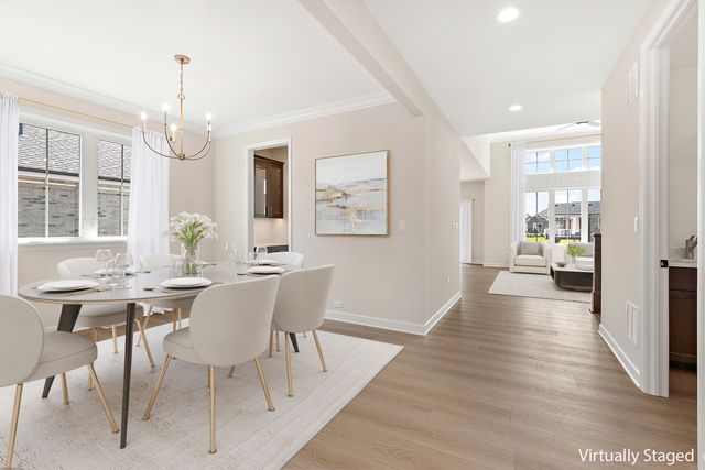 12193 Curragh Meadow Way, Lemont, IL 60439