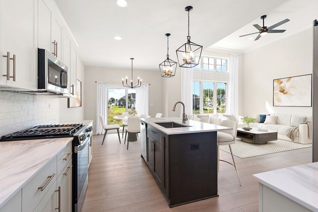 12193 Curragh Meadow Way, Lemont, IL 60439