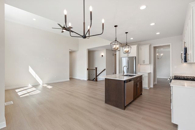 12193 Curragh Meadow Way, Lemont, IL 60439