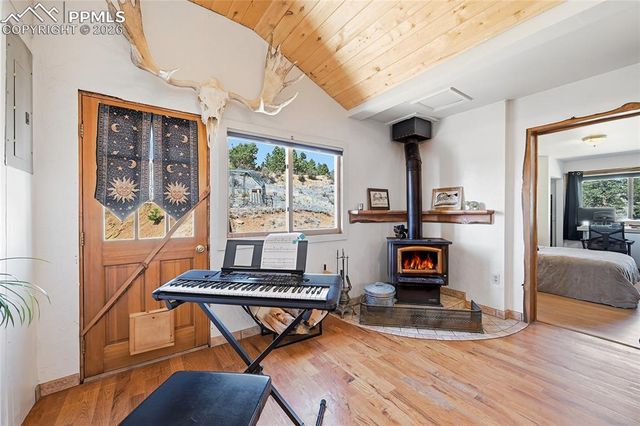 556 Circle Drive, Florissant, CO 80816