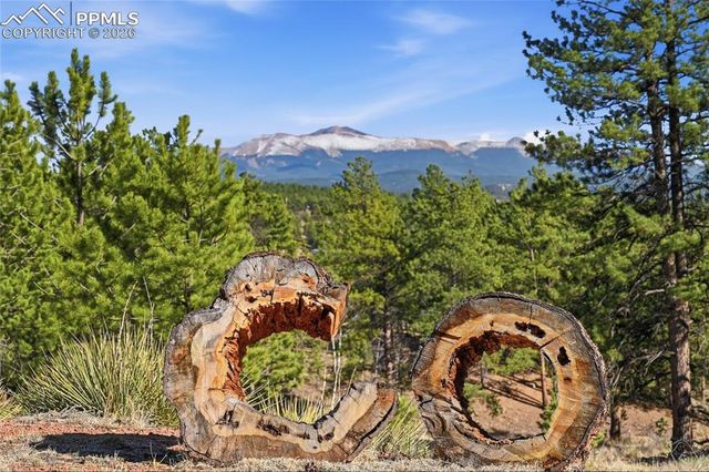 556 Circle Drive, Florissant, CO 80816