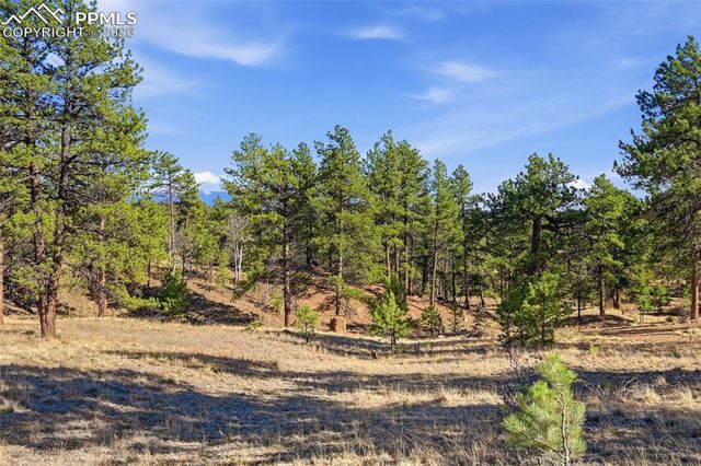 556 Circle Drive, Florissant, CO 80816