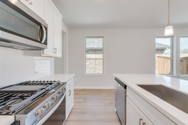 141 Bable Run Drive, Little Elm, TX 75068