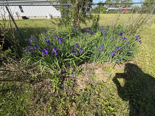 1717 Vandergriff Road, Signal Mountain, TN 37377