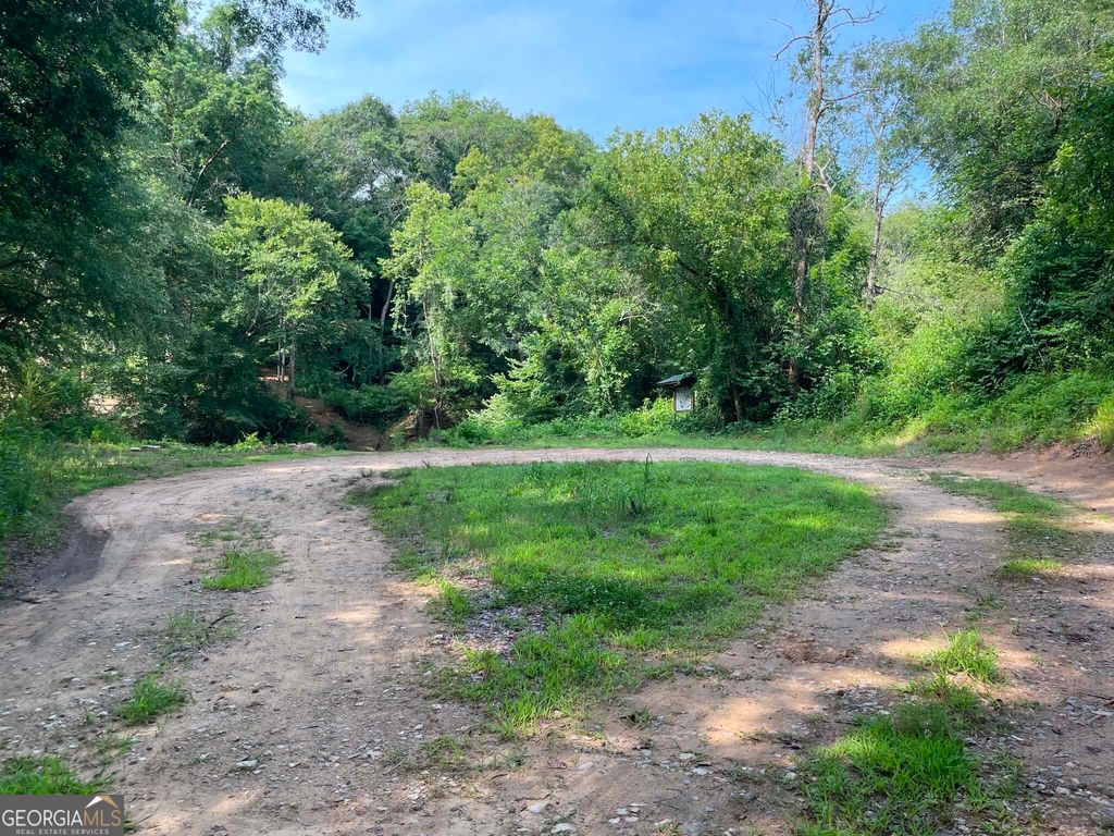 TRACT 1 Hwy 29 N, Royston, GA 30662 — photo 5