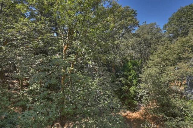 161 Grizzly, Lake Arrowhead, CA 92317
