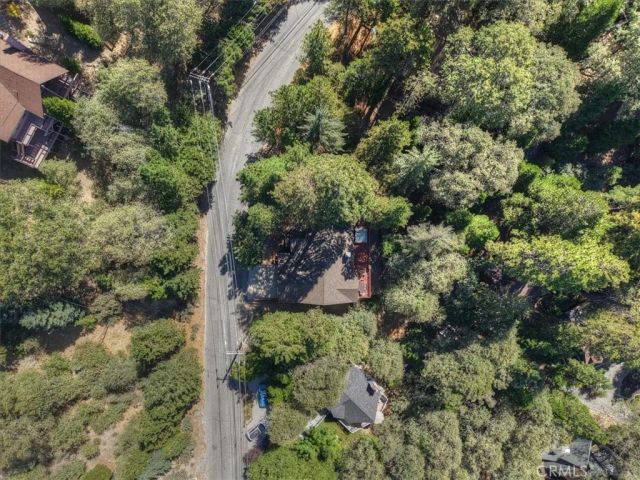 161 Grizzly, Lake Arrowhead, CA 92317