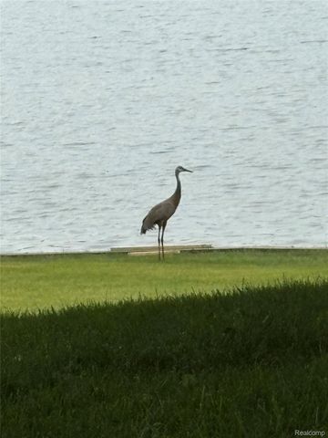 4372 Lamson Drive, Waterford Charter Township, MI 48329