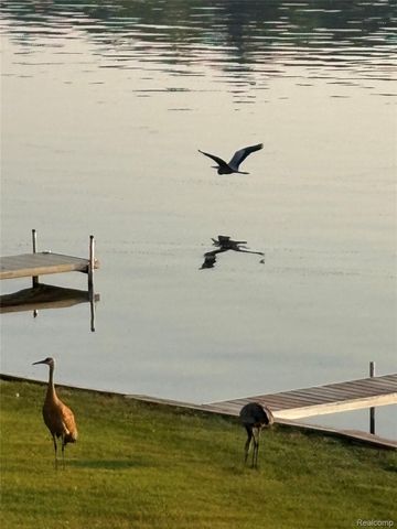 4372 Lamson Drive, Waterford Charter Township, MI 48329