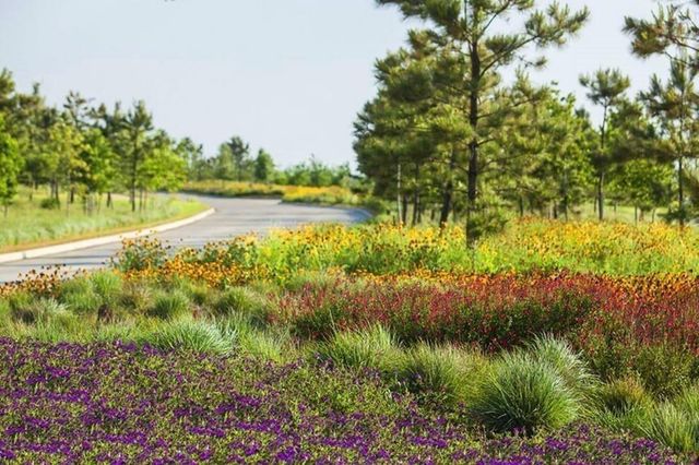 4203 Chloe Ridge Lane, Fulshear, TX 77441