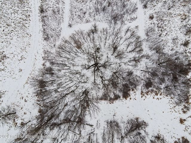 5286 Alward Road, Laingsburg, MI 48848