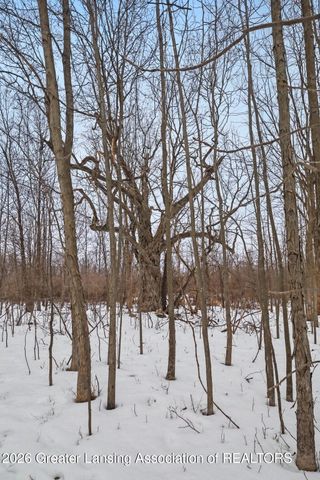 5286 Alward Road, Laingsburg, MI 48848