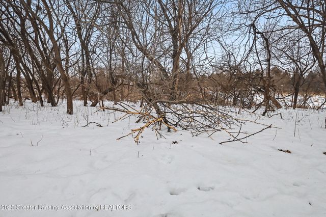 5286 Alward Road, Laingsburg, MI 48848