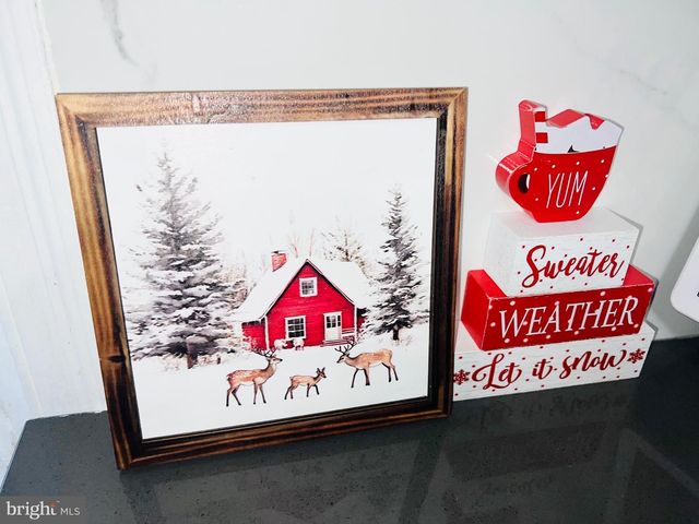 3019 SAINT VINCENT ST, Philadelphia, PA 19149