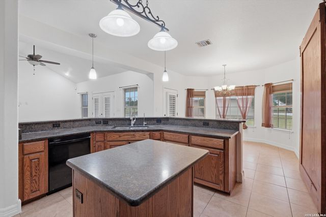 101 lynx, Devine, TX 78016