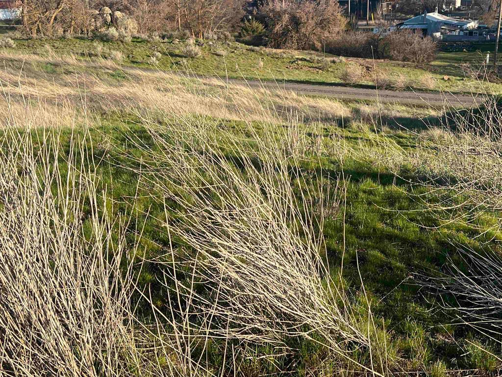 00 W Alder St, Sprague, WA 99032 photo 15