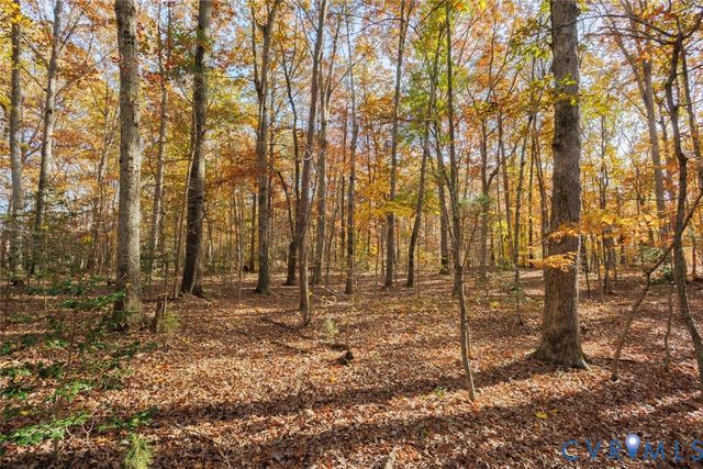 00 Maidens Rd, Maidens, VA 23102