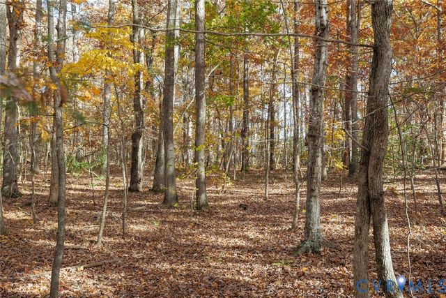 00 Maidens Rd, Maidens, VA 23102