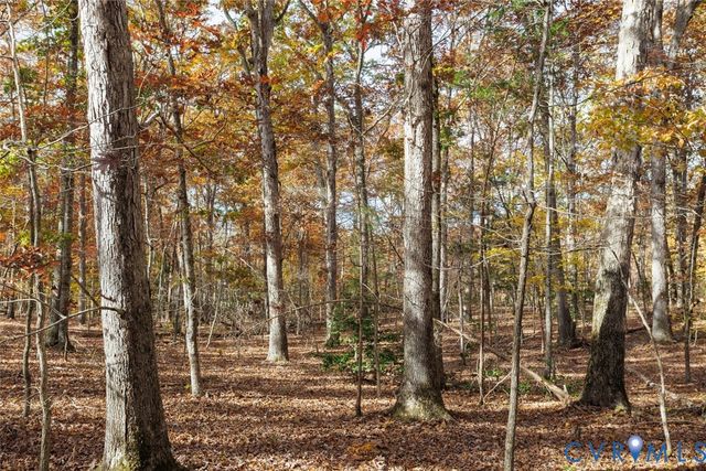 00 Maidens Rd, Maidens, VA 23102